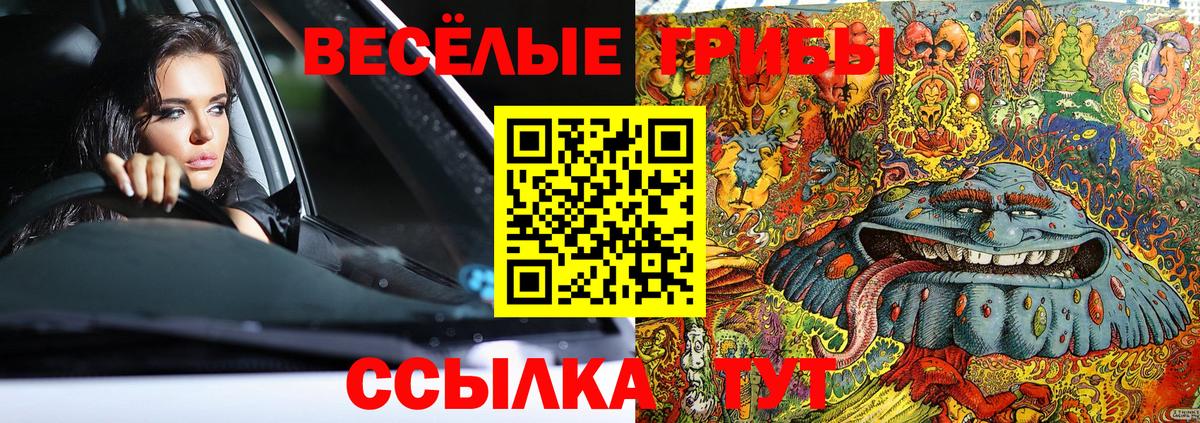 Галлюциногенные грибы ЛСД  Вход с VPN  Гурьевск  Псилоцибиновые грибы прущие грибы 